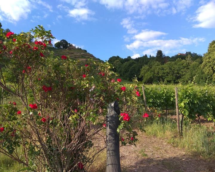 Weingut DREI HERREN